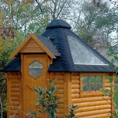 Doezum Sterrenzicht Bb Weidszicht B&B 외부 사진